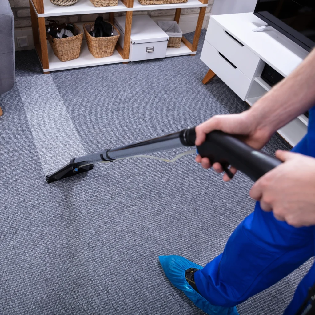 Carpet Cleaning