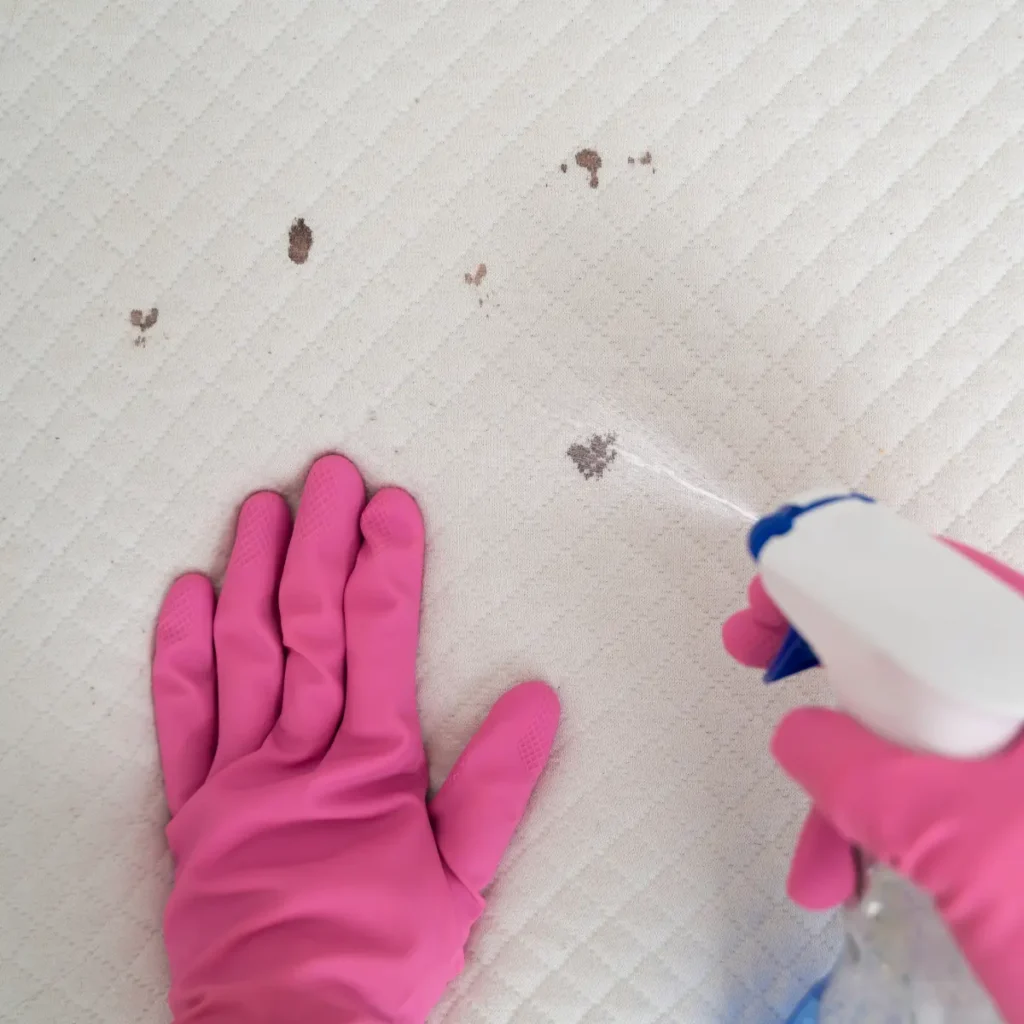 Mattress Cleaning