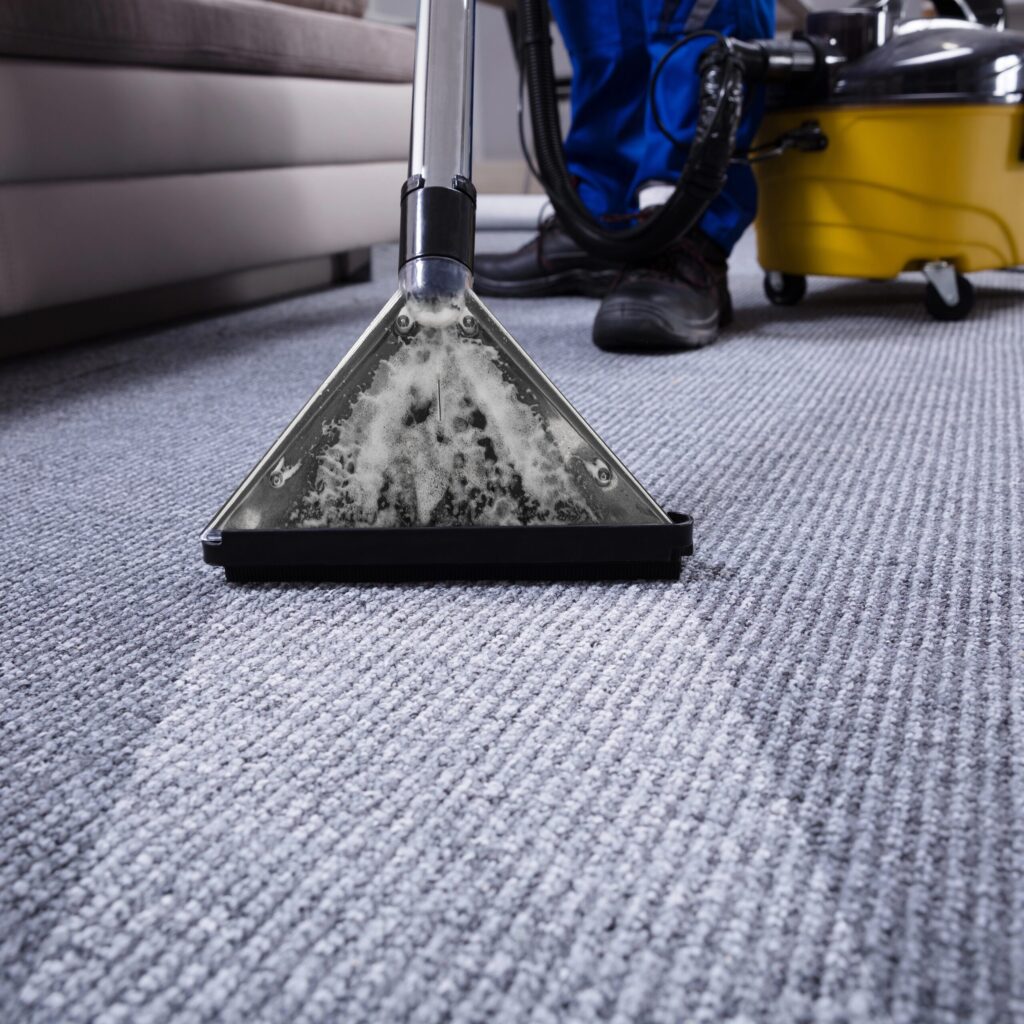 Carpet Cleaning
